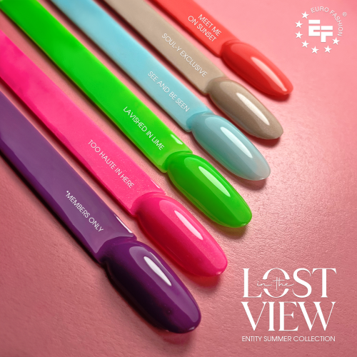 lost-in-the-view.png